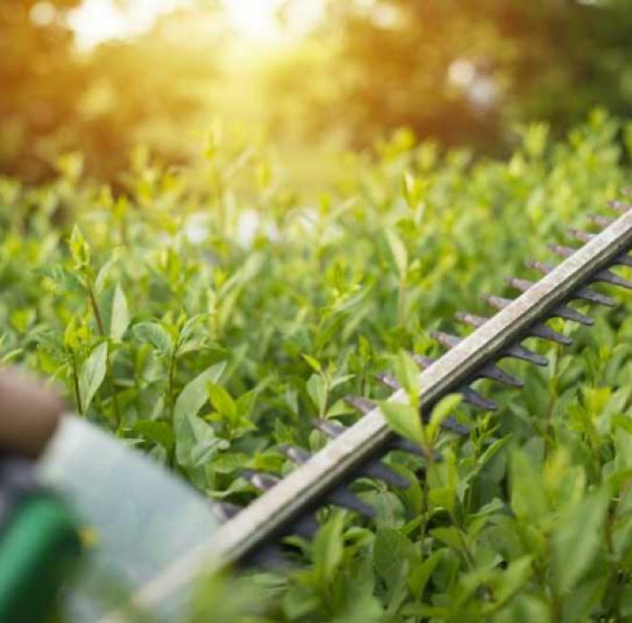 Garden Clean up Manukau, Hedge & Tree Trimming, Lawnmowing and more. Eastern Property Services