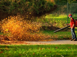 Garden Clean up Botany, Hedge & Tree Trimming, Lawnmowing and more. Eastern Property Services