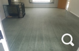 Carpet Cleaning, Eastern Property Services is East Auckland’s premier professional property service agency