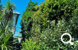 Garden Clean up, Eastern Property Services is East Auckland’s premier professional property service agency