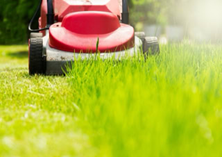 Garden Clean up Howick, Hedge & Tree Trimming, Lawnmowing and more. Eastern Property Services