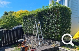 Garden Clean up, Eastern Property Services is East Auckland’s premier professional property service agency