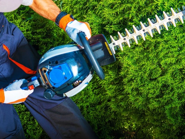 Garden Clean up Mount Wellington, Hedge & Tree Trimming, Lawnmowing and more. Eastern Property Services