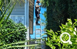 Garden Clean up, Eastern Property Services is East Auckland’s premier professional property service agency