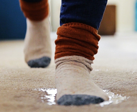 Carpet Cleaning Papatoetoe, Carpet Repairs, Carpet Stretching, Flood Restoration. Eastern Property Services